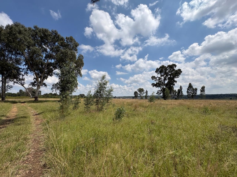 0 Bedroom Property for Sale in Vaalpark Free State